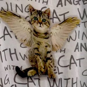 Angel cat sweater